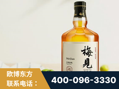 玉林-梅见青梅酒